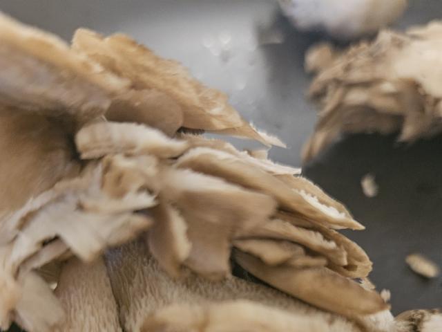 Hochgeladen von: Harty