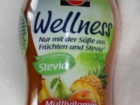 Schwartau Wellness Multivitamin Stevia, Multivitamin  | Hochgeladen von: Dose