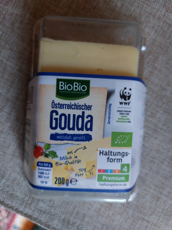 Gouda, mittelalt von Calvarius | Hochgeladen von: Calvarius