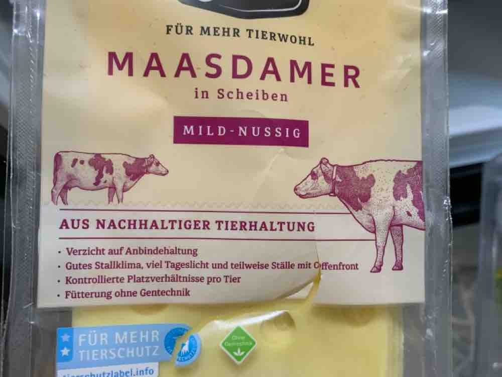 Maasdamer, Schnittkäse, 45% Fett i.Tr. von dome123 | Hochgeladen von: dome123