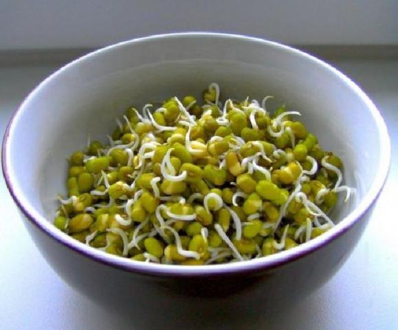 Beansprouts, Mungobohnenkeime | Uploaded by: Meleana