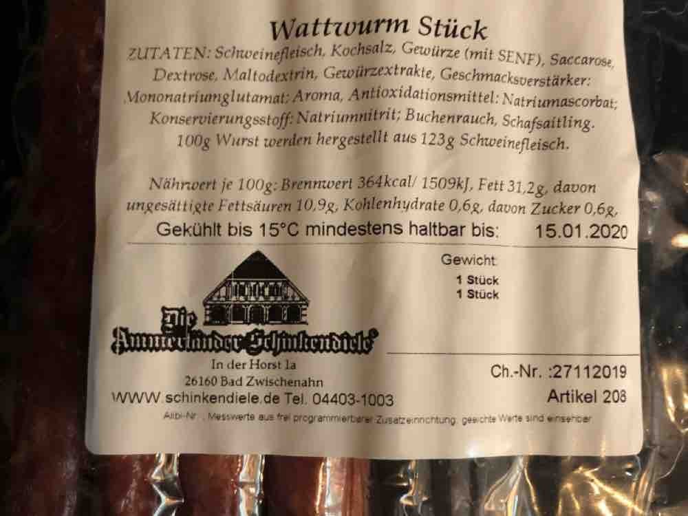 Wattwurm von Wolfgang75 | Hochgeladen von: Wolfgang75