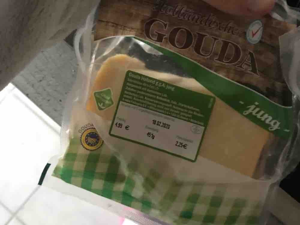 Gouda am Stück, Käse 48% i.Tr. von dirtyd | Hochgeladen von: dirtyd