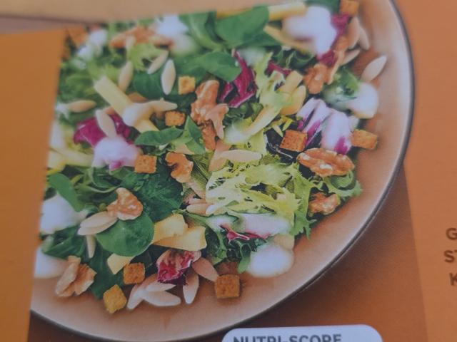 Hochgeladen von: BeeBin