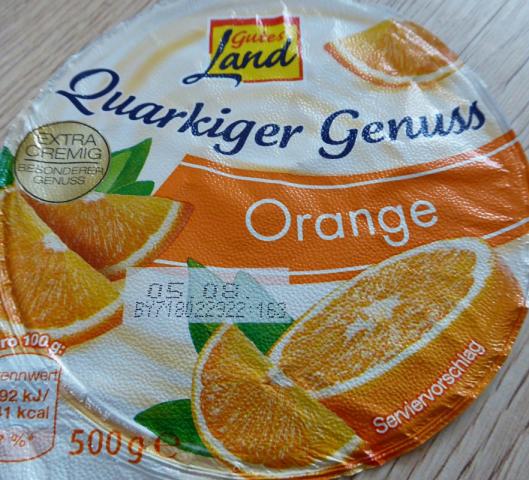 Quarkiger Genuss, Orange | Hochgeladen von: bodensee