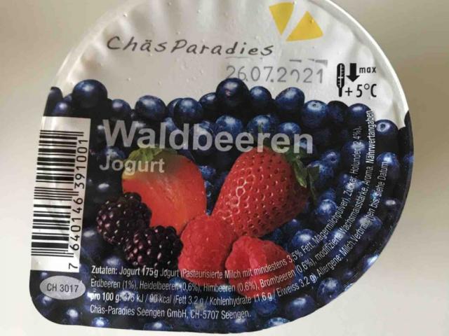 waldbeeren Jogurt von joelm | Hochgeladen von: joelm