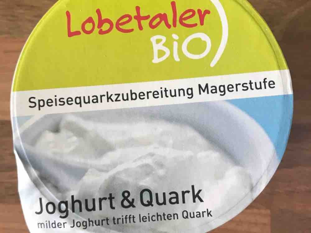Speisequarkzubereitung, Joghurt & Quark von mokari | Hochgeladen von: mokari