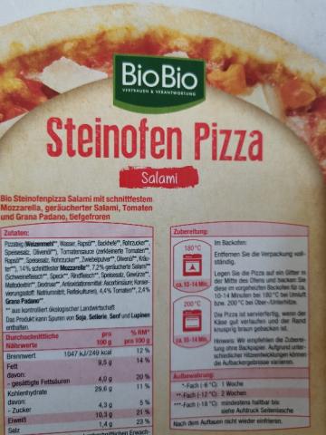 Steinofen Pizza von Vladimir93 | Hochgeladen von: Vladimir93