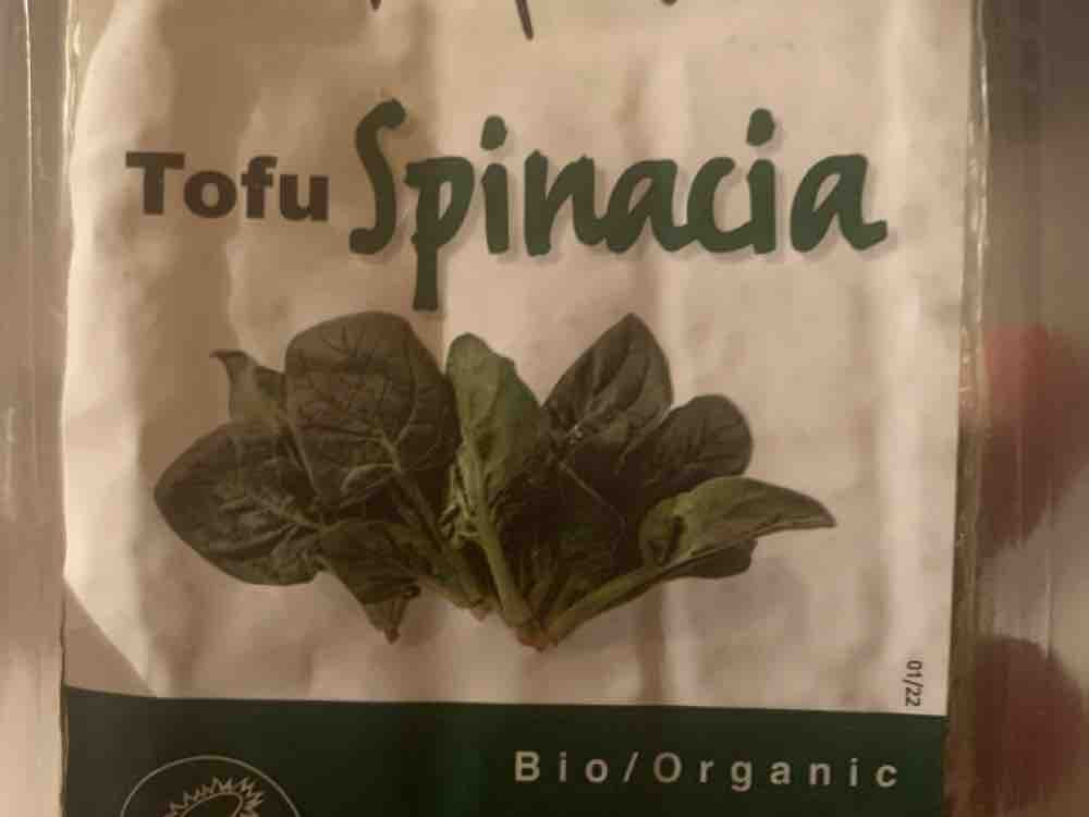 Tofu Spinacia von tom1857 | Hochgeladen von: tom1857