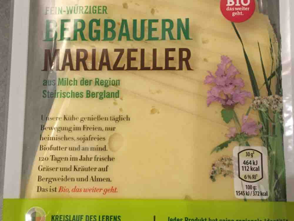 Bergbauern Mariazeller Käse von Hubsi | Hochgeladen von: Hubsi