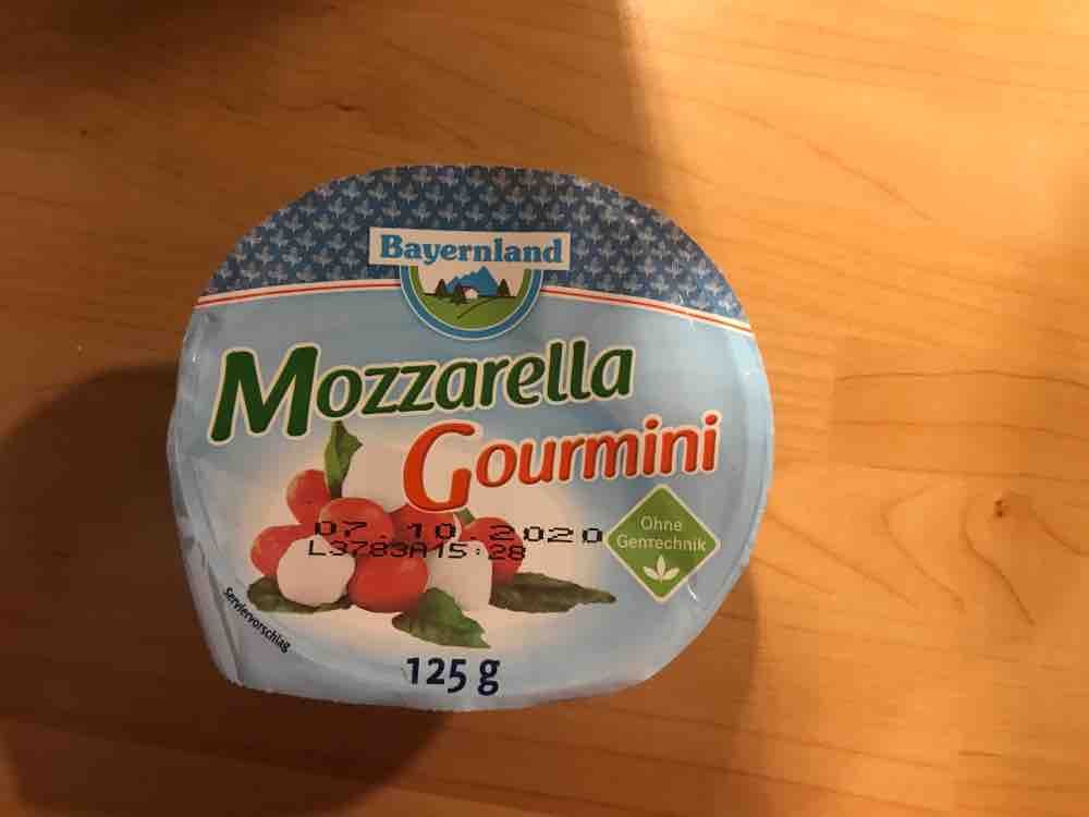 Mozzarella, Gourmini von andschind | Hochgeladen von: andschind