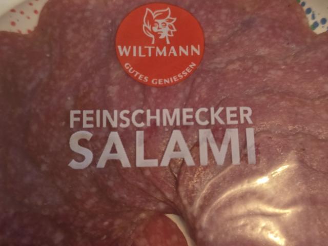 Hochgeladen von: meiersjessica378