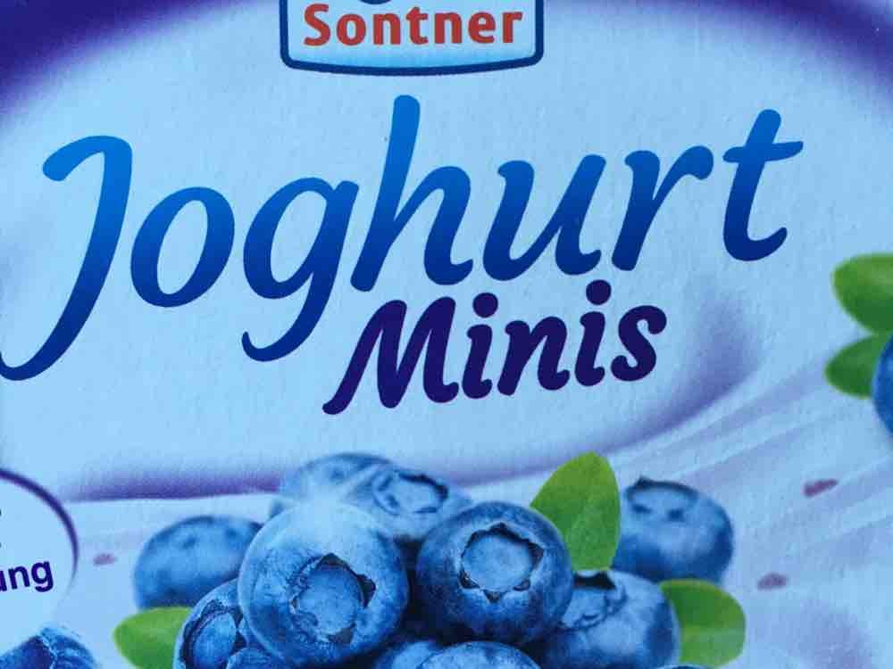 joghurt minis, heidelbeere von Mozartkugel | Hochgeladen von: Mozartkugel