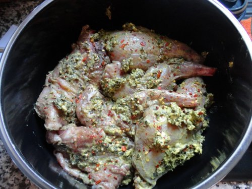 Kaninchen in Senf- Estragon-Soße | Hochgeladen von: reg.