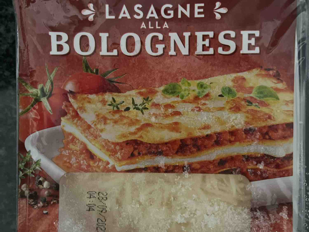 lasagne bolognese von mountgul | Hochgeladen von: mountgul