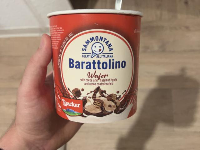 Hochgeladen von: J17192