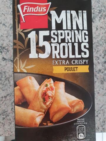 Mini Spring Rolls, mit Poulet von Lorytta | Hochgeladen von: Lorytta