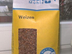 Weizen | Hochgeladen von: Meleana