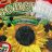 Sonnenblumenkerne mit Schale geröstet von mmmk | Hochgeladen von: mmmk