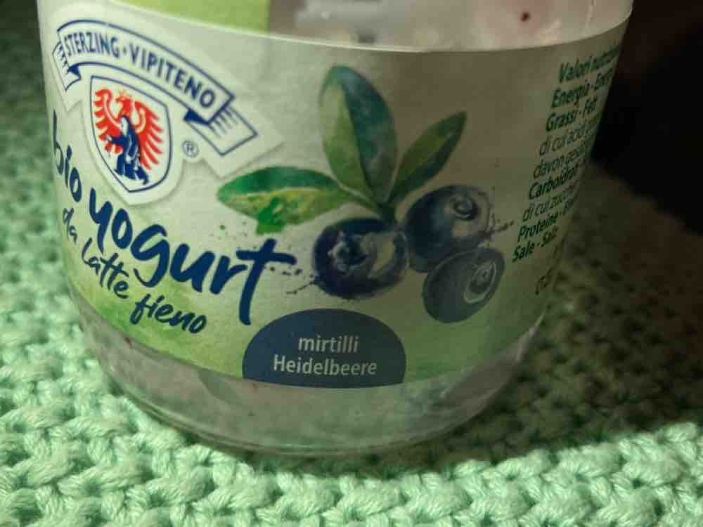 Bio Yogurt  Heidelbeere von stefannimmtab | Hochgeladen von: stefannimmtab