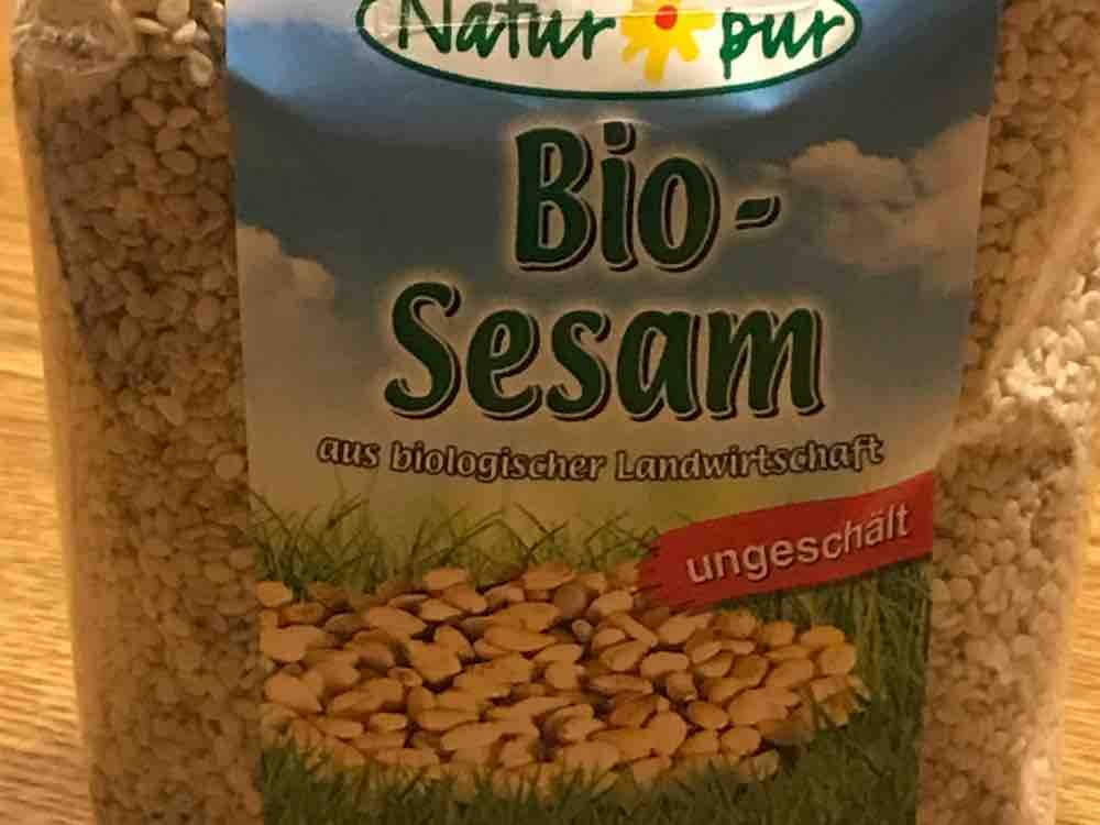 Bio-Sesam Spar Natur pur, ungeschält von MSR | Hochgeladen von: MSR
