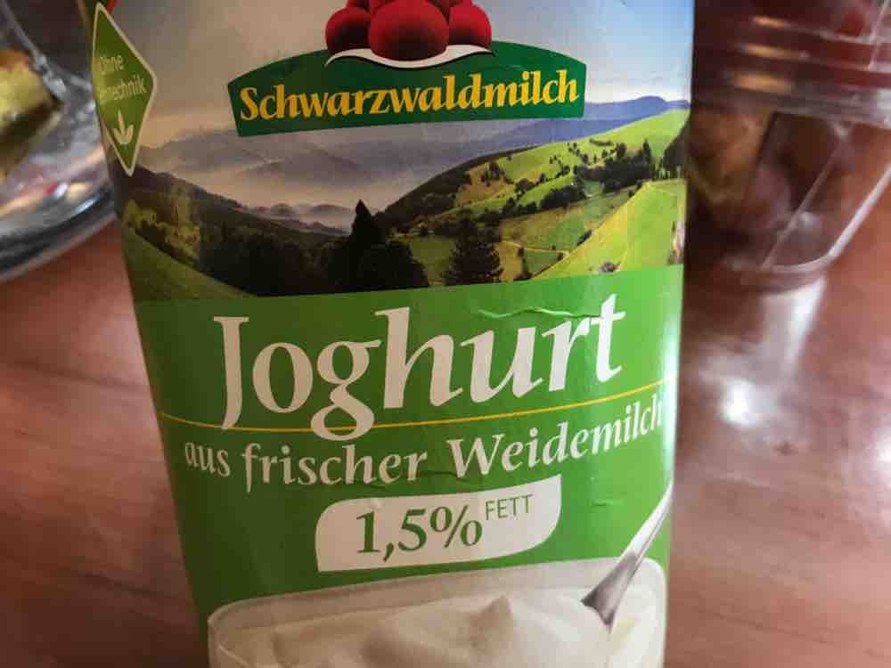 Joghurt aus frischer Weidemilch, 1.5% Fett von nalaensagirbay | Hochgeladen von: nalaensagirbay