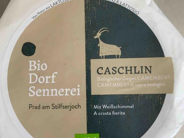 Caschlin Bio Ziegen Camembert, mit Weißschimmel von MR43 | Hochgeladen von: MR43