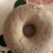 Zimtschnecken Donut, zuckerfrei von Rosebudforever | Hochgeladen von: Rosebudforever
