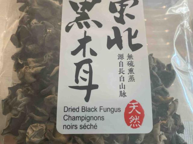 black fungus by zzb | Uploaded by: zzb