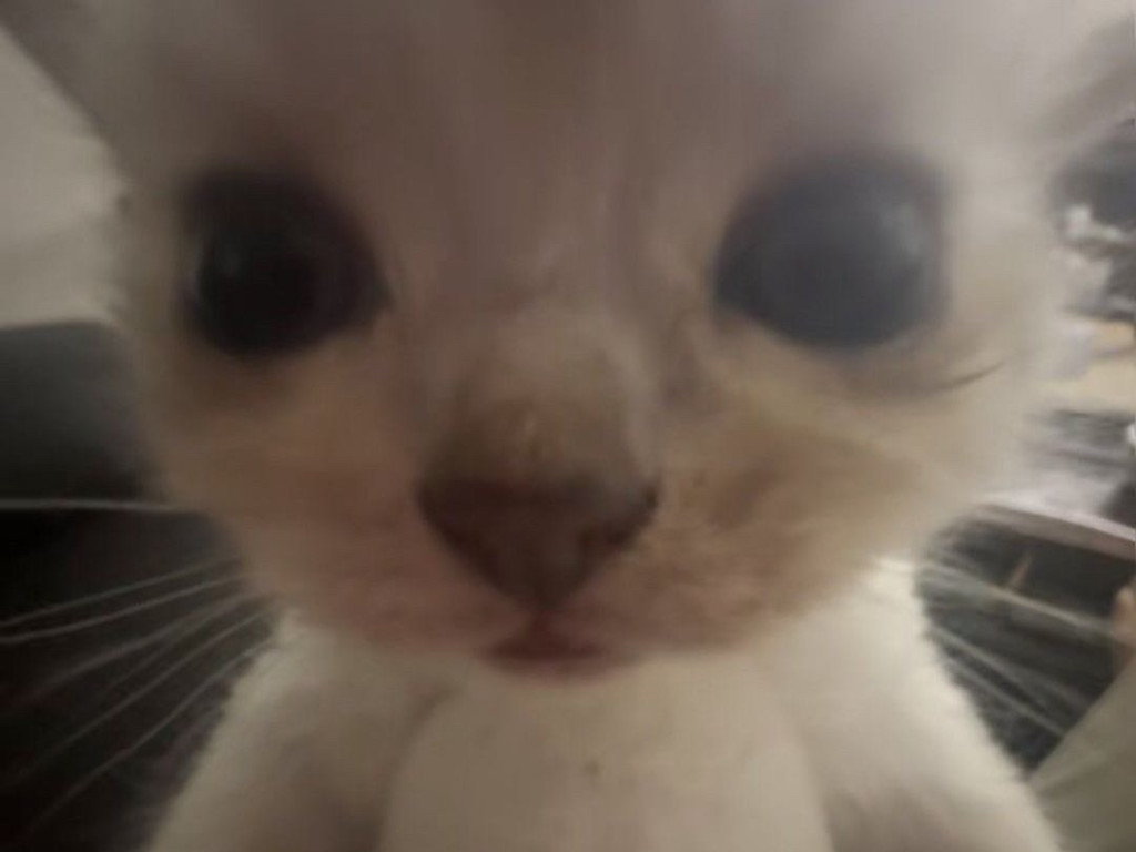 Hochgeladen von: chariee