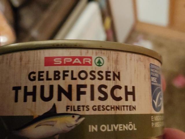 Uploaded by: Patrik Hackl