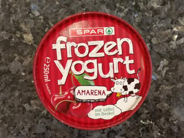 frozen yogurt amarena | Hochgeladen von: elise