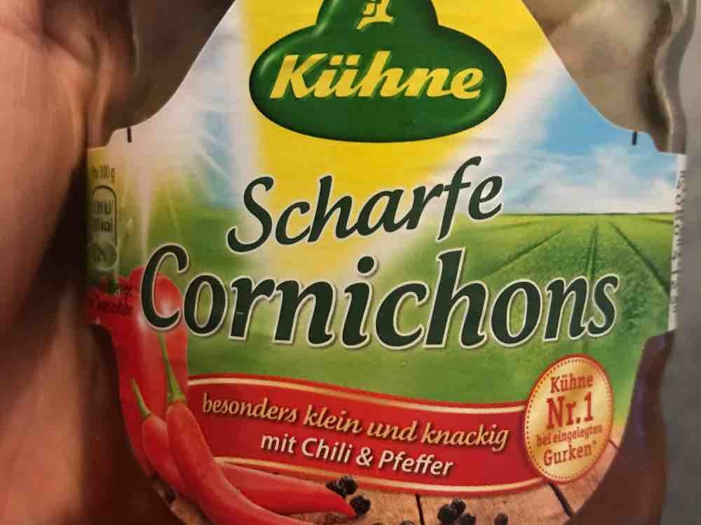 Scharfe Cornichons von christina2209 | Hochgeladen von: christina2209