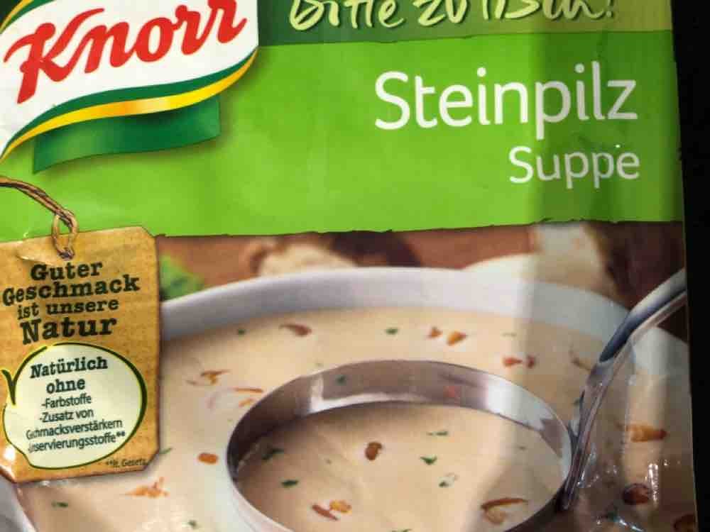 Steinpilzcreme Suppe, Steinpilz von prevstico | Hochgeladen von: prevstico