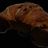 Schoko Croissant (Bäcker Peter) von Ikhwan279 | Hochgeladen von: Ikhwan279