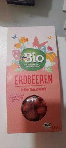 Erdbeeren in Beerenschokolade von Irina303 | Hochgeladen von: Irina303