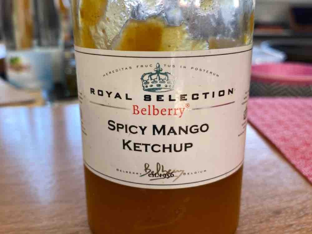 spicy Mango Ketchup von Schneeflocke26 | Hochgeladen von: Schneeflocke26