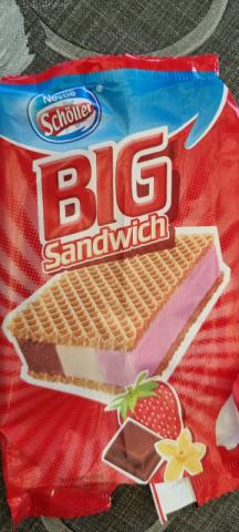 BIG Sandwich by Maressa Zimmer | Uploaded by: Maressa Zimmer