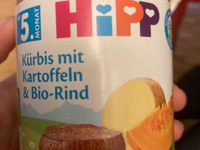 Kürbis mit Kartoffeln  und Bio-Rind by liyababenko | Uploaded by: liyababenko