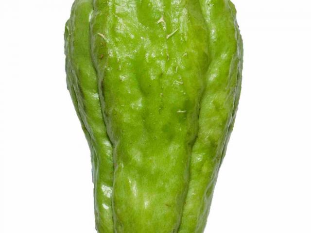chayote, veg by anunlapatch | Uploaded by: anunlapatch