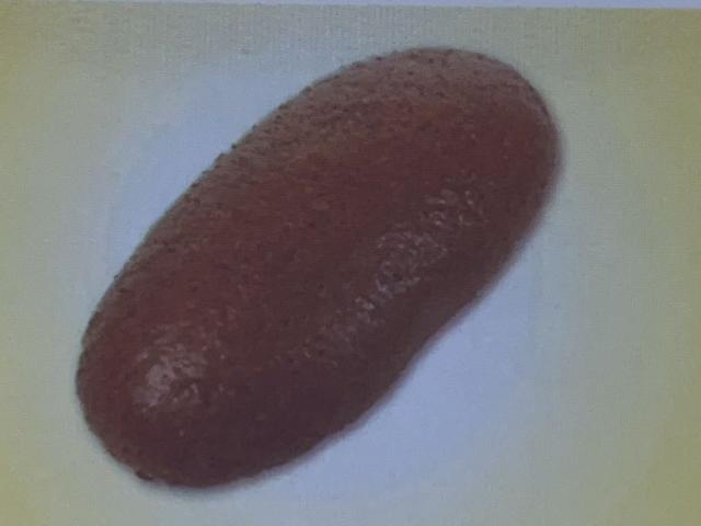 Hochgeladen von: Susanne Simon