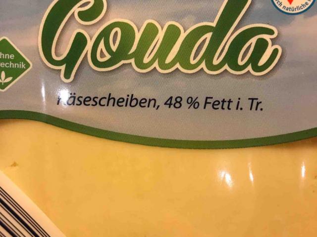 Gouda 48% Fett i. Tr. von Tobs945 | Hochgeladen von: Tobs945