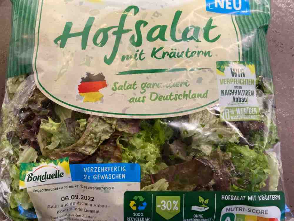 Hofsalat, mit Kräutern von LBErfolg | Hochgeladen von: LBErfolg
