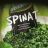 Spinat, TK von superilo | Hochgeladen von: superilo