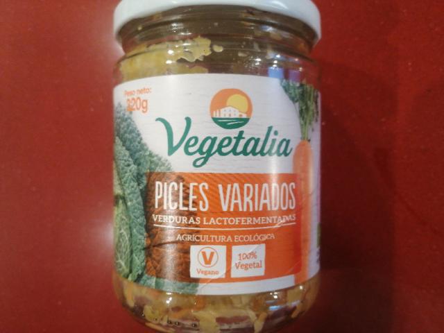 Picles variados, (verduras la to fermentadas) by nonick390 | Hochgeladen von: nonick390