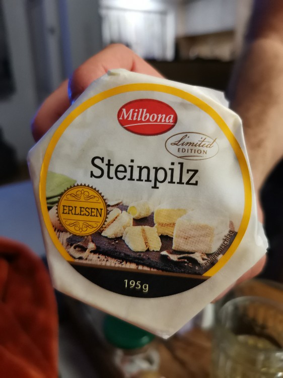 Steinpilz Käse von sastro | Hochgeladen von: sastro