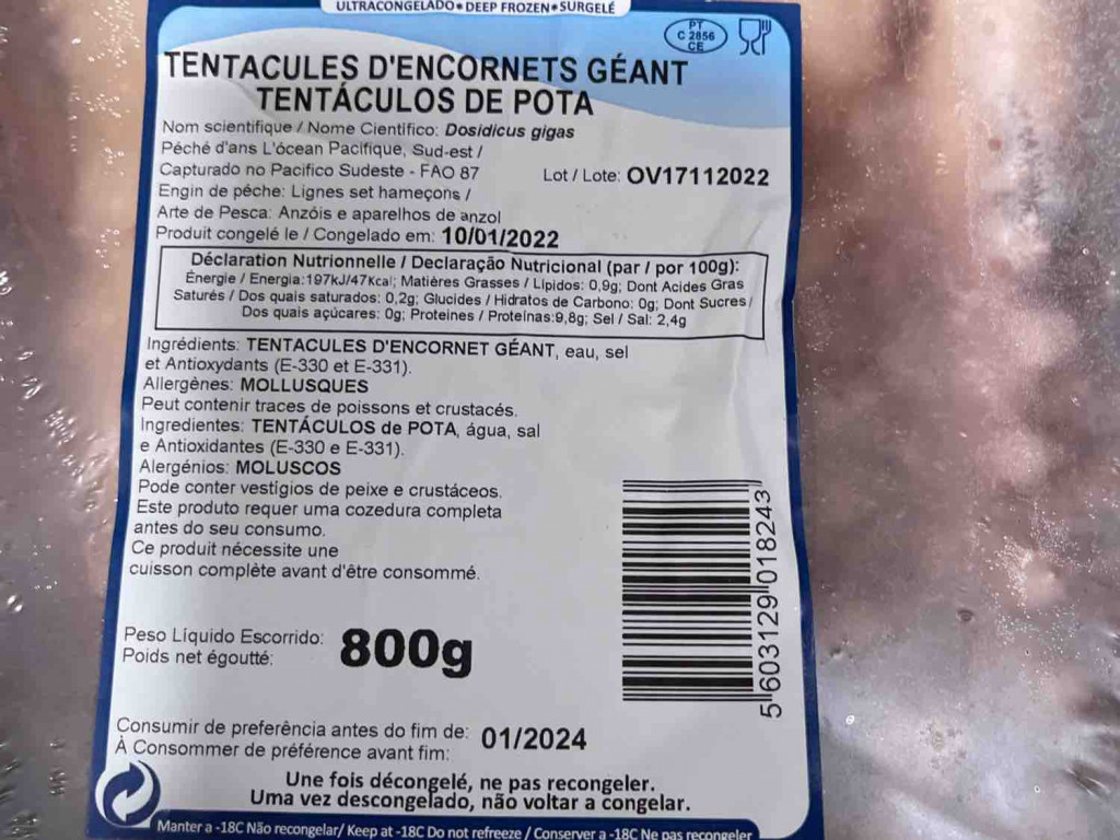 tentacule d’encornet géant von claudio0092i | Hochgeladen von: claudio0092i