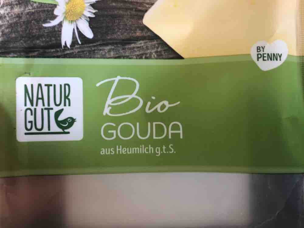 Bio Gouda, 50%Fett von anka35 | Hochgeladen von: anka35