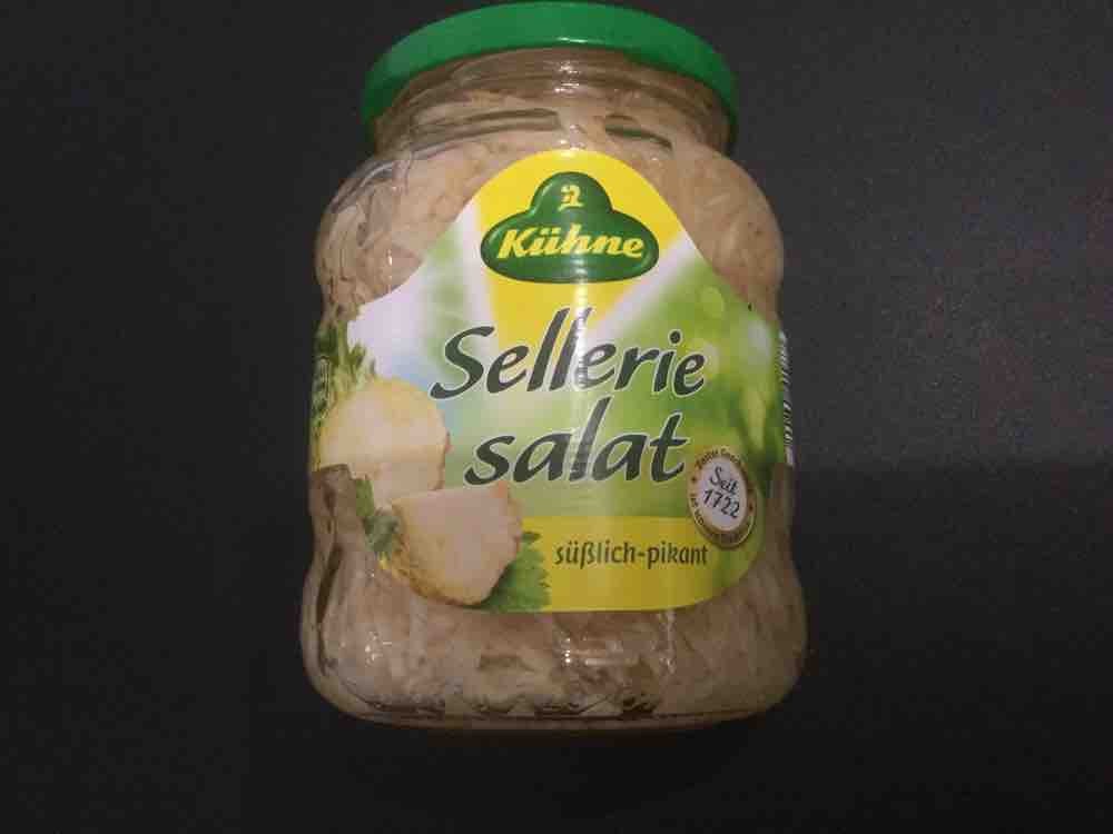 Selleriesalat süßlich-pikant von REngel | Hochgeladen von: REngel