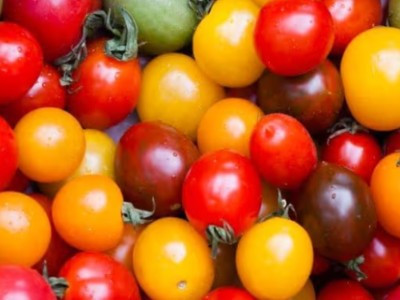 Hochgeladen von: Karin Stöhr